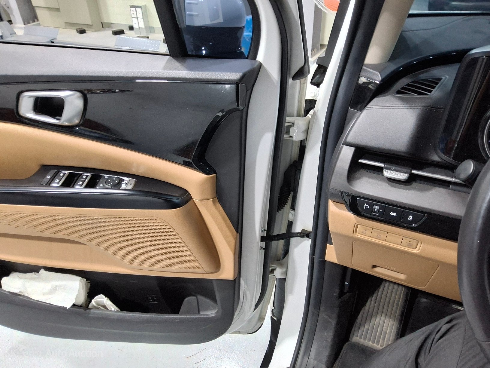 2021 - kia carnival