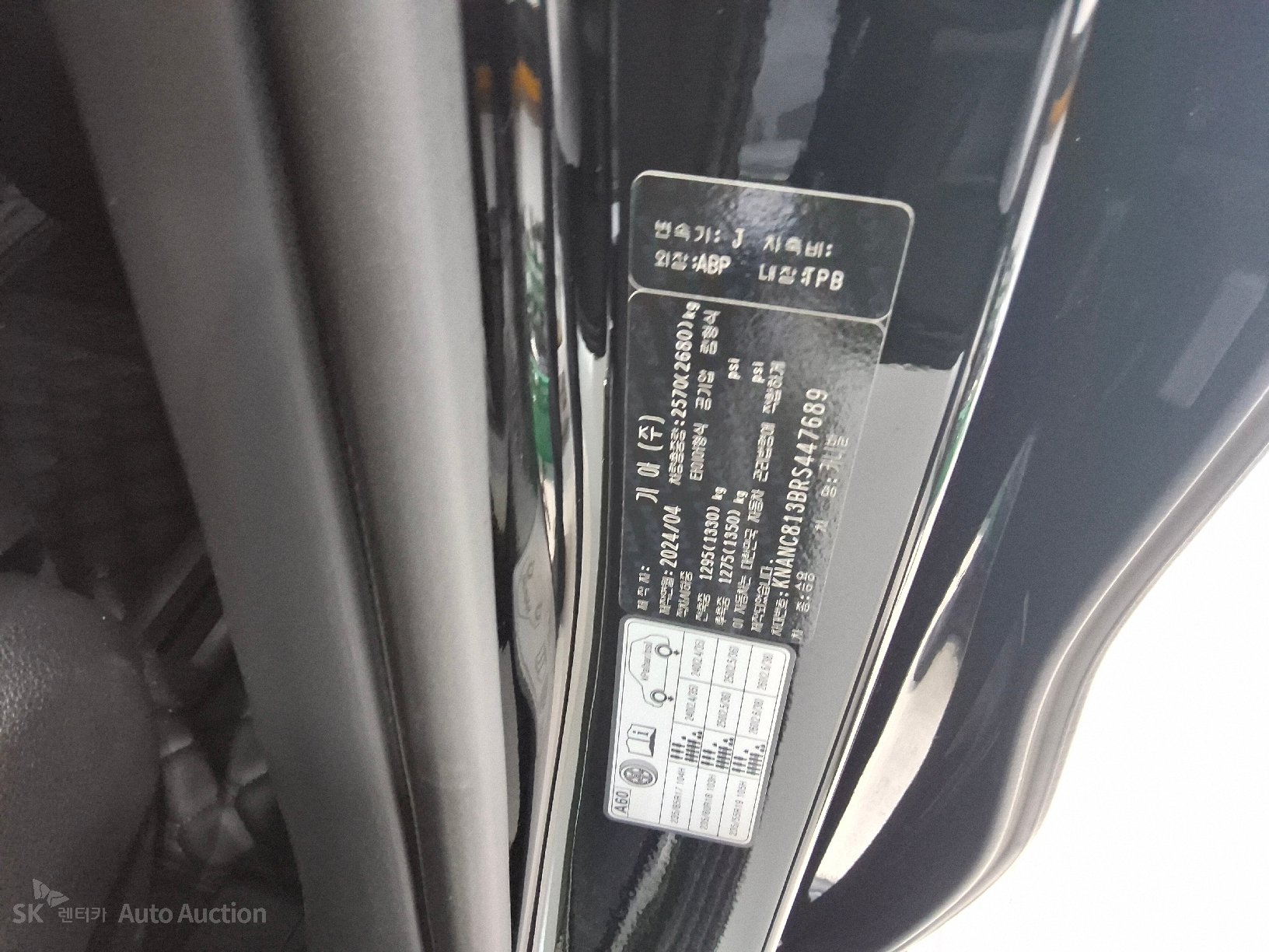 2024 - kia carnival