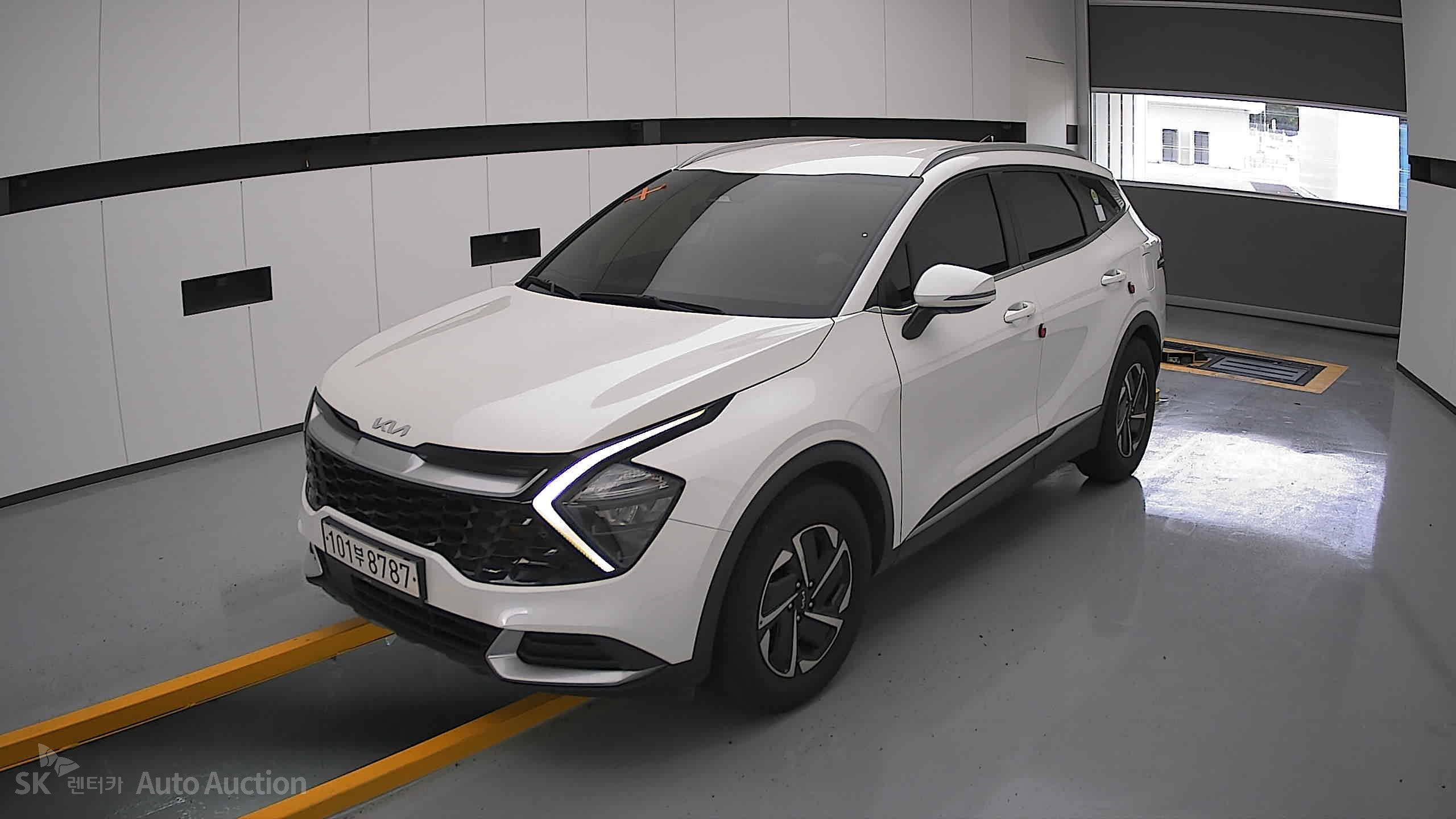 2023 - kia sportage