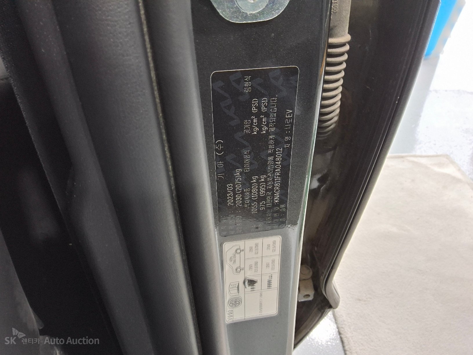 2024 - kia niro ev