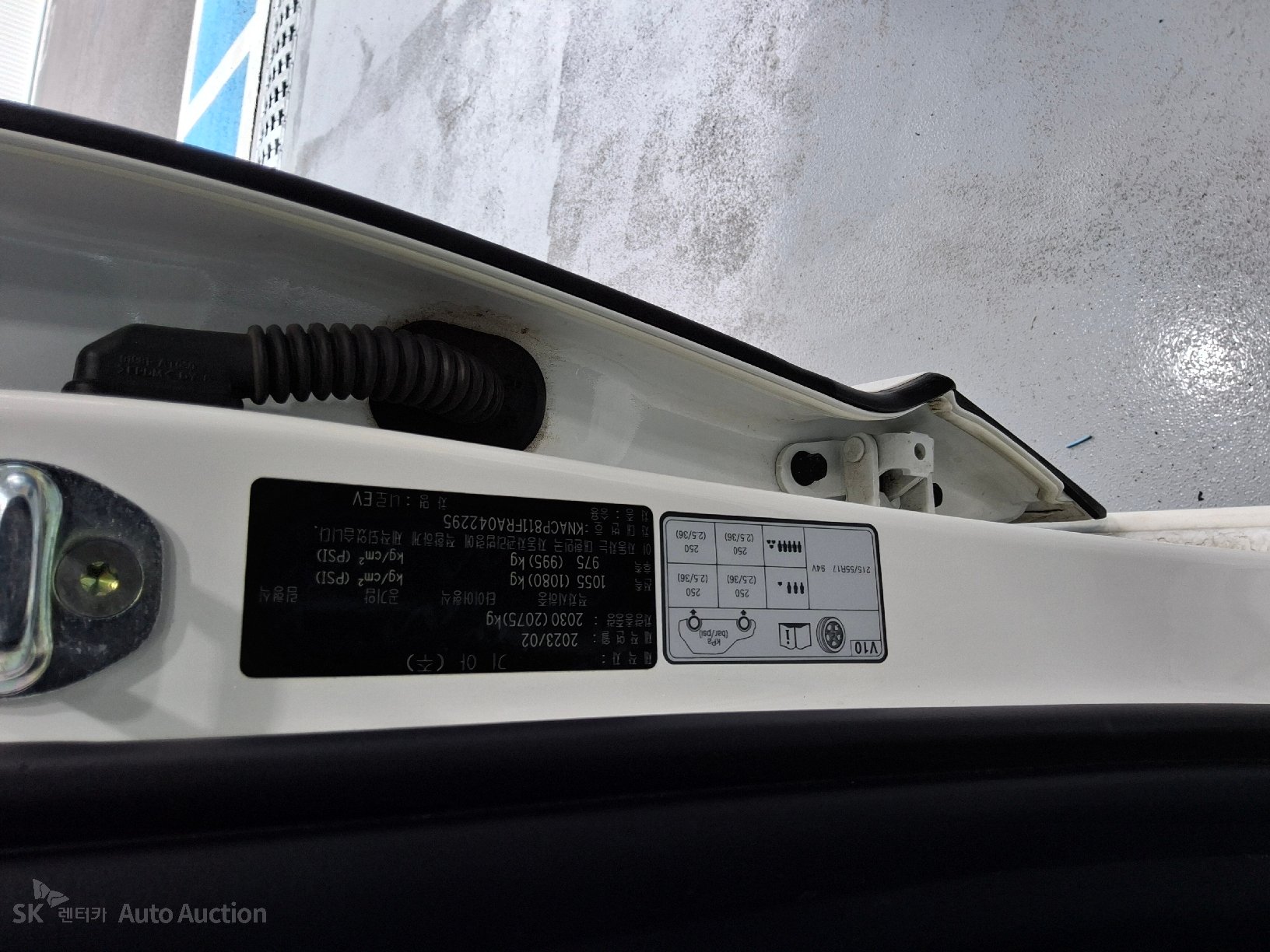 2024 - kia niro ev