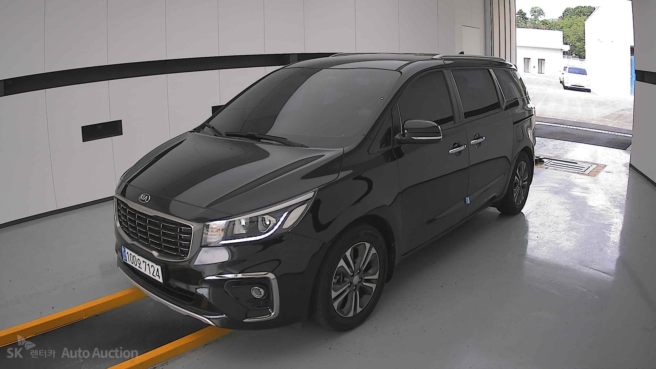 2019 - kia carnival