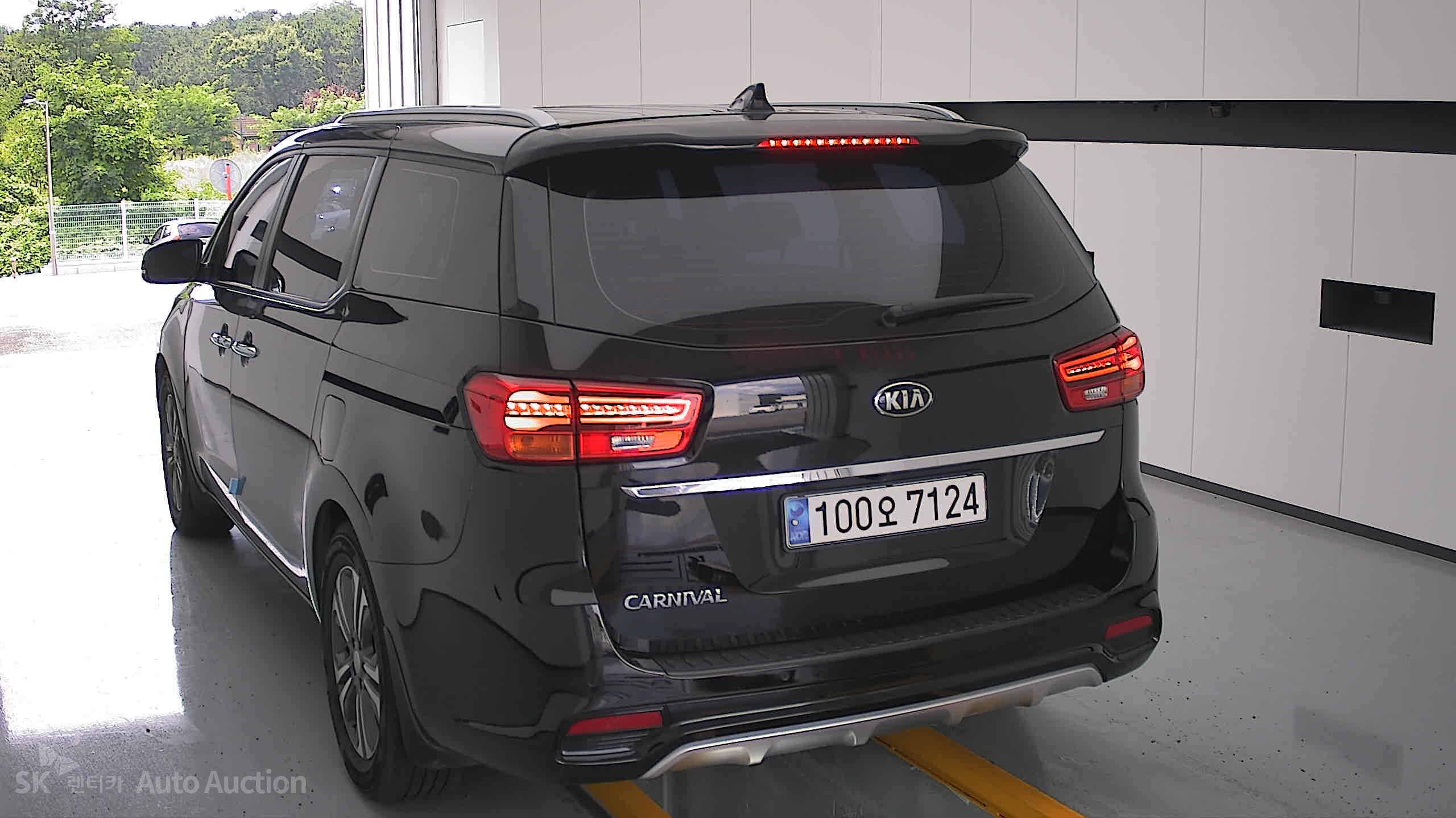 2019 - kia carnival