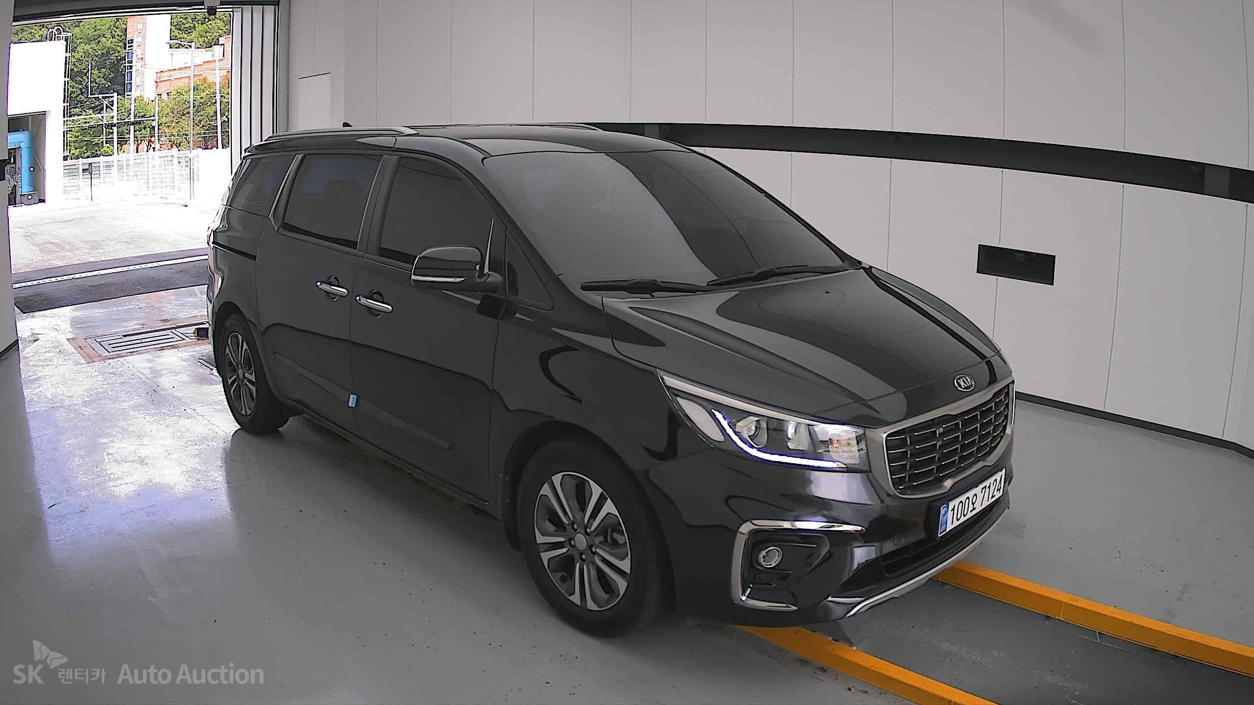 2019 - kia carnival