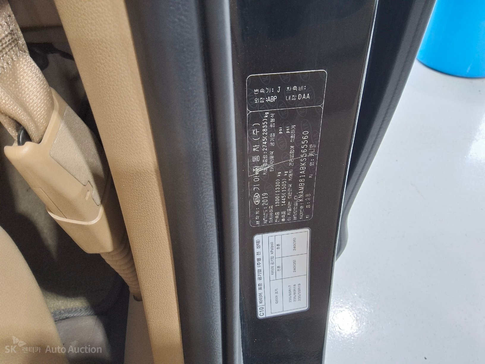 2019 - kia carnival