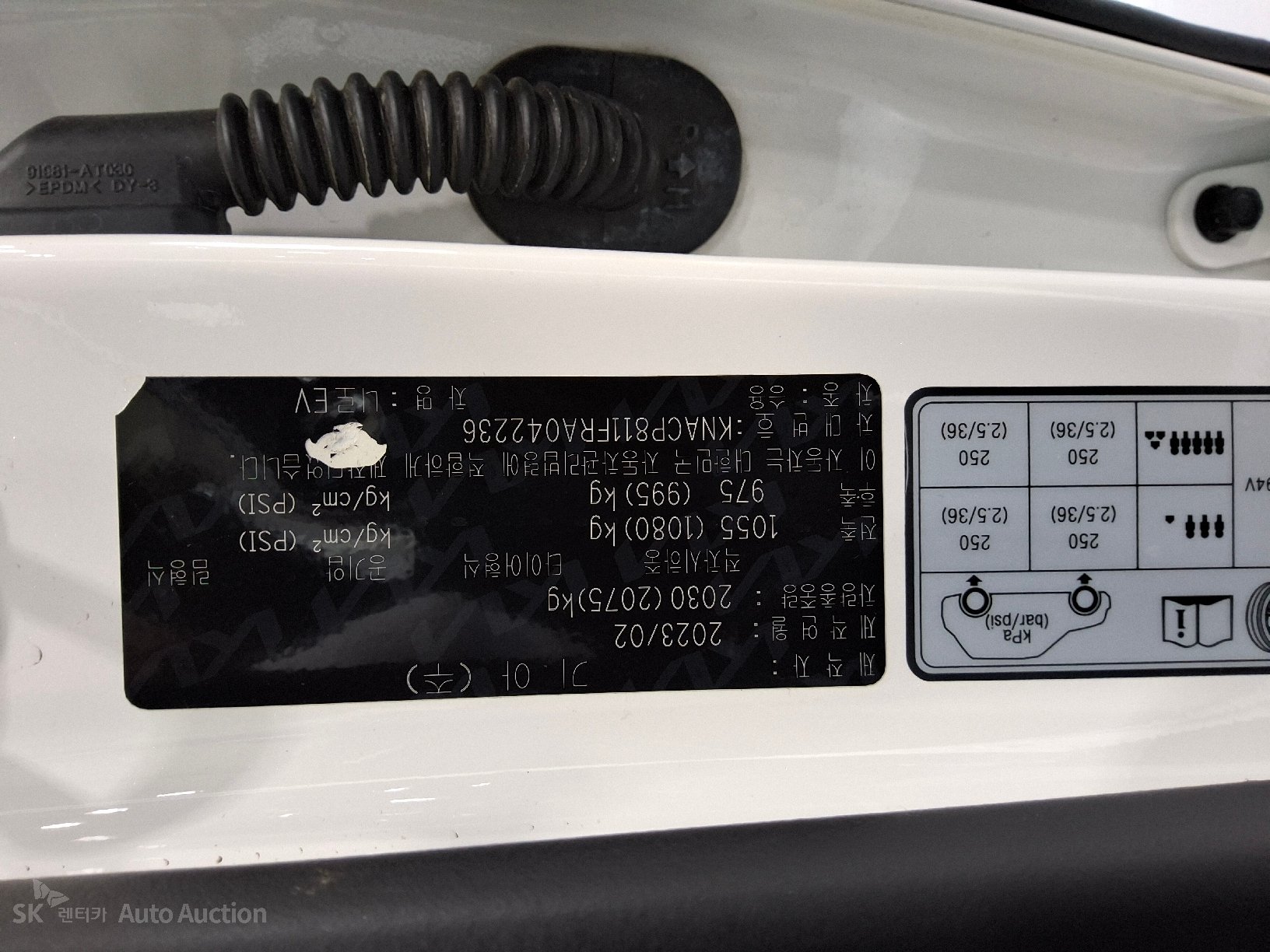 2024 - kia niro ev