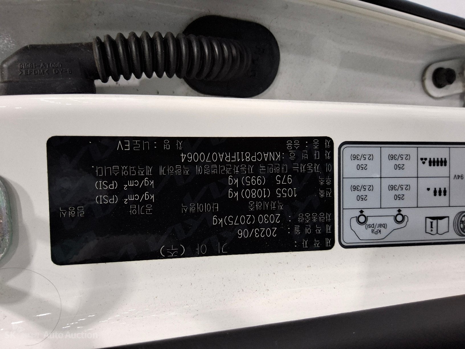 2024 - kia niro ev