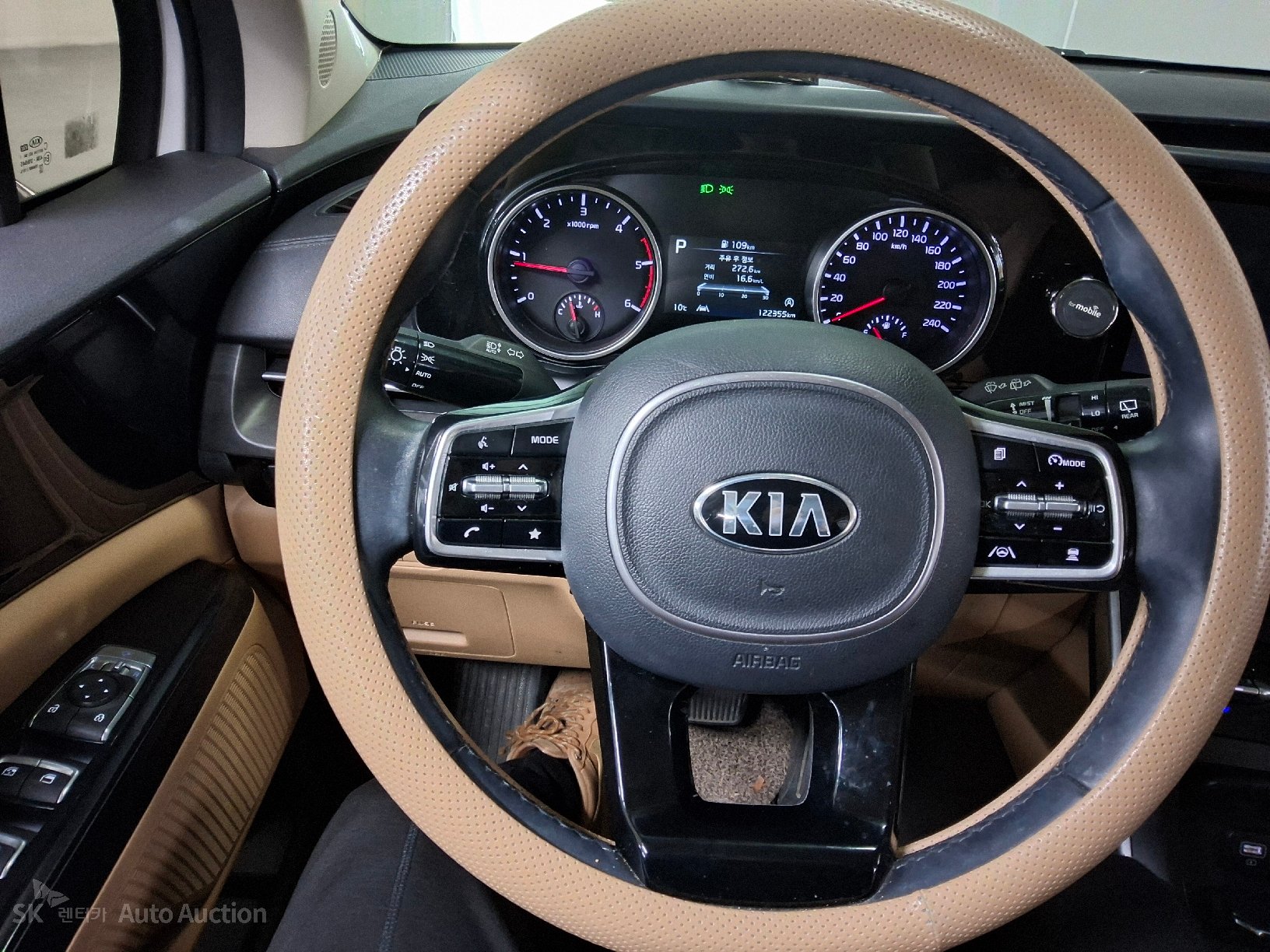 صورة إضافية