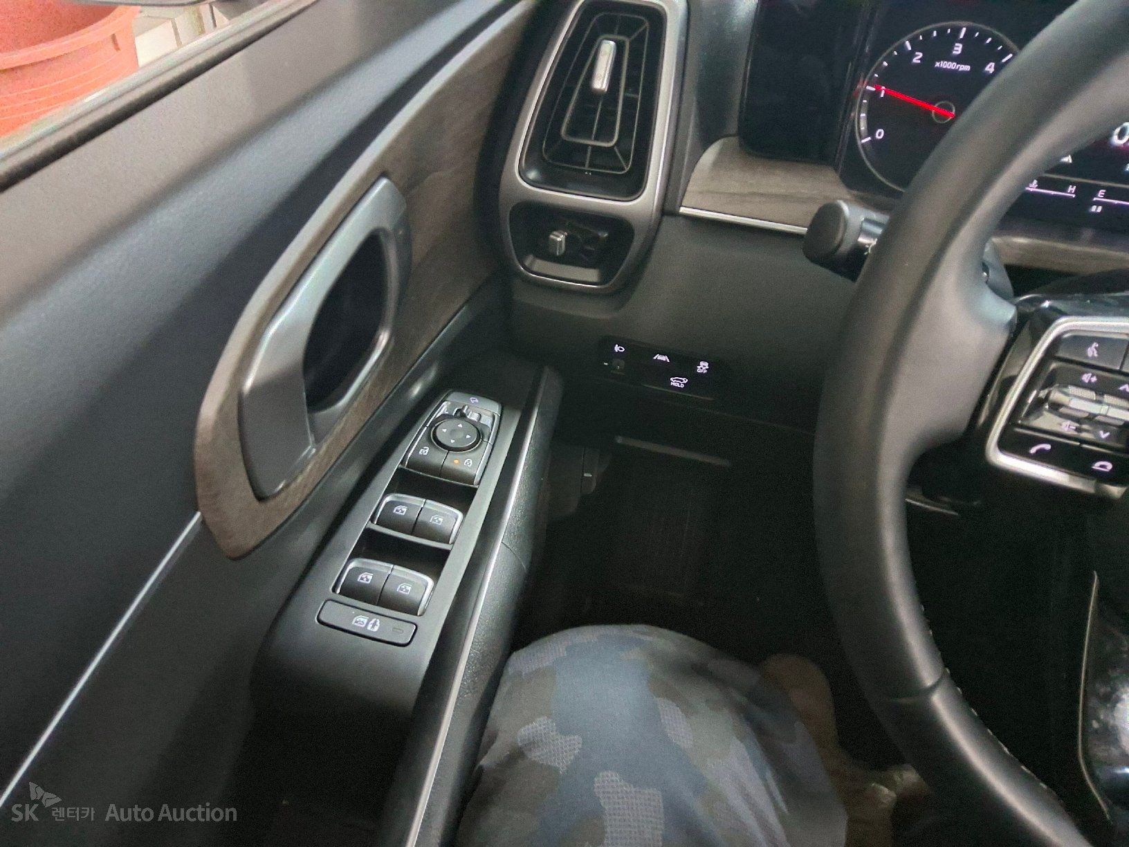 صورة إضافية