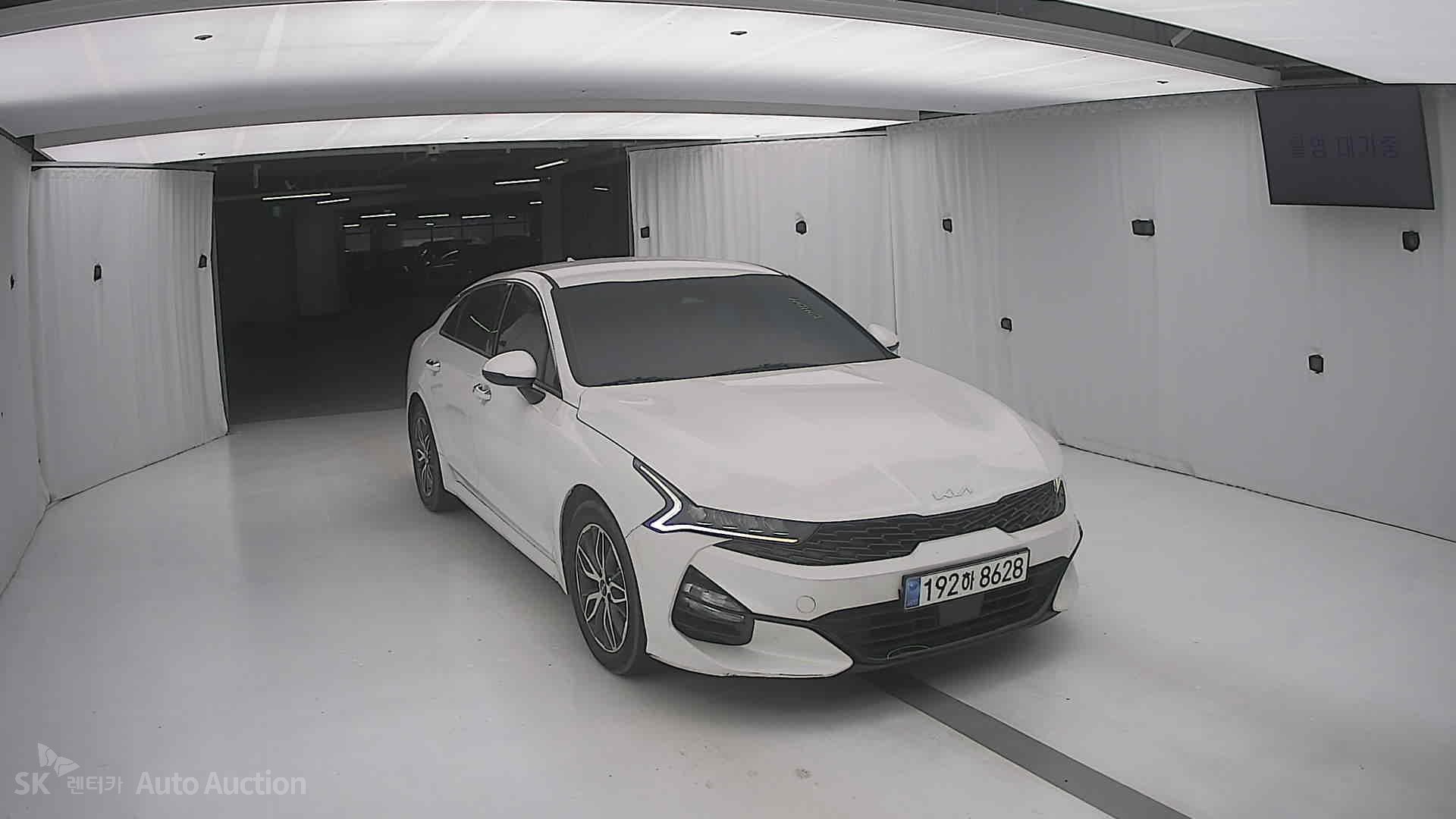 صورة إضافية