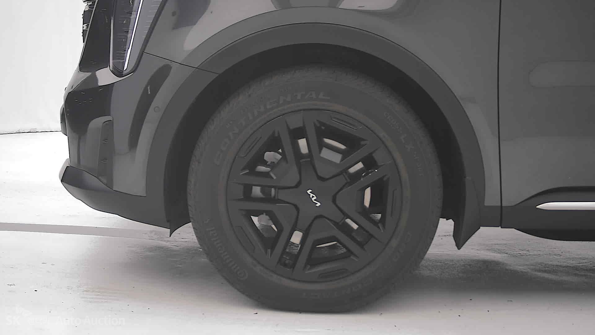 صورة إضافية