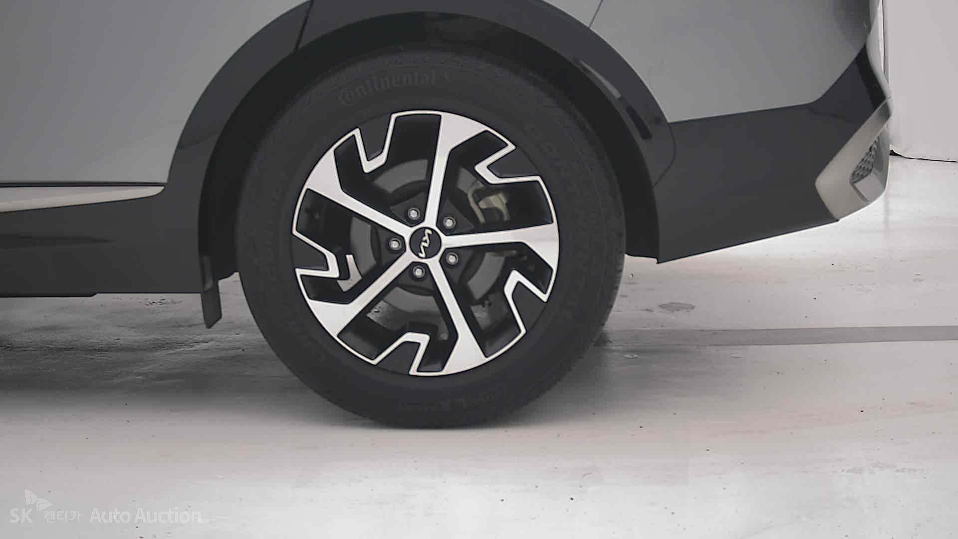 صورة إضافية