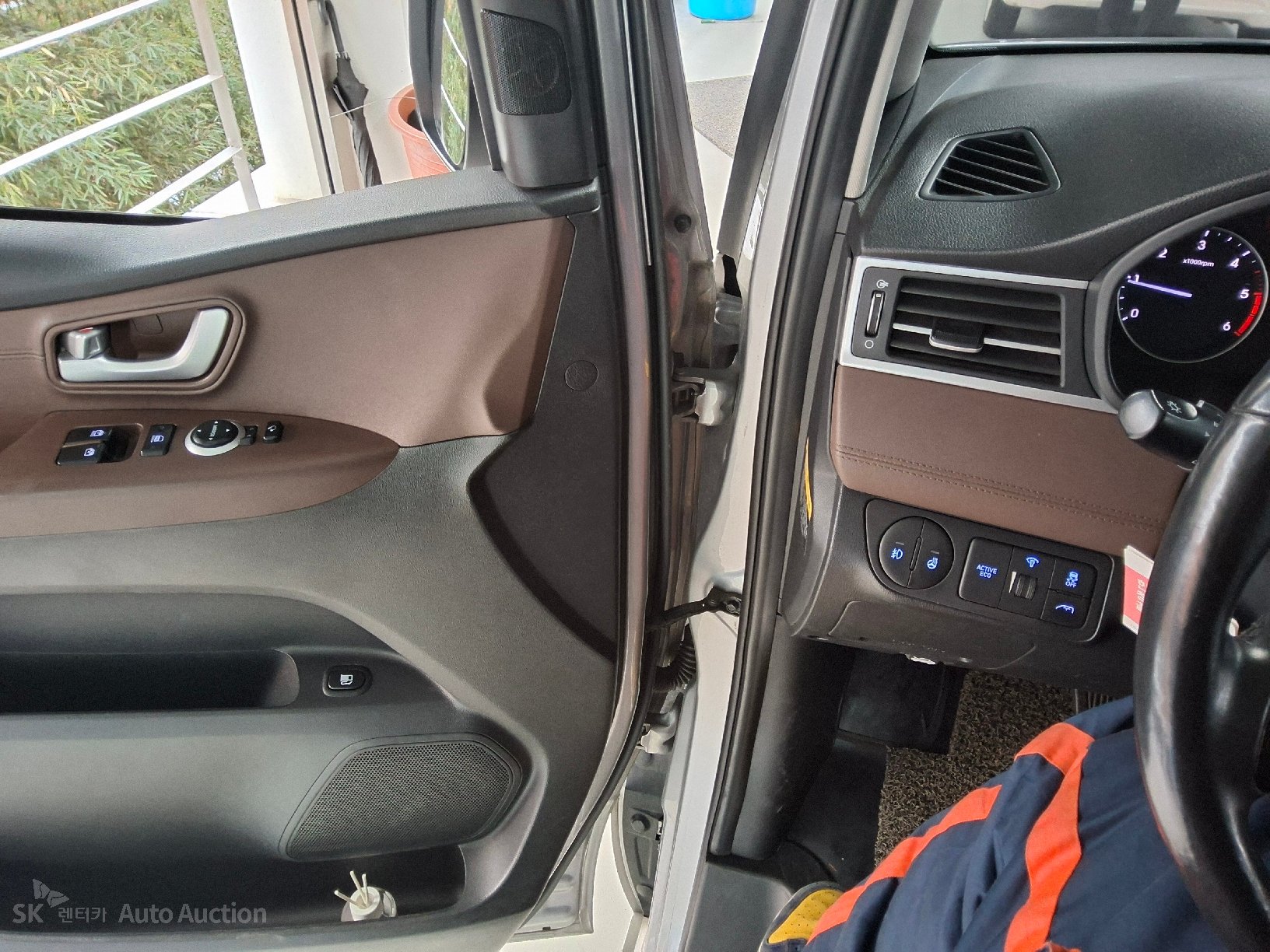 صورة إضافية