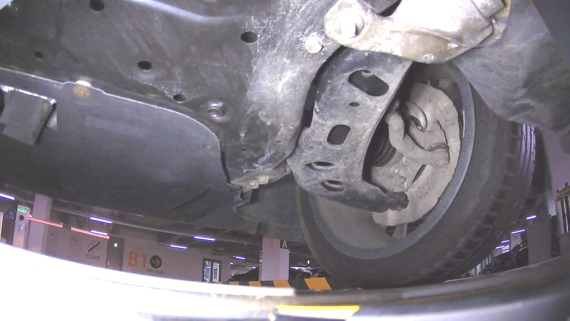 underbody