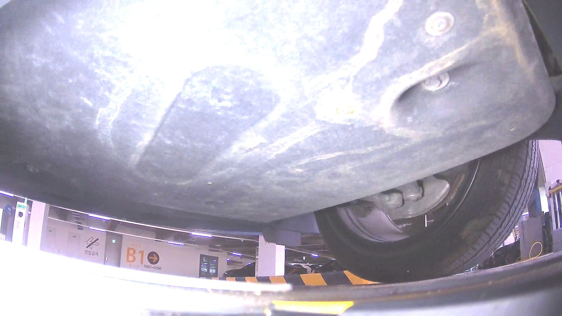 underbody