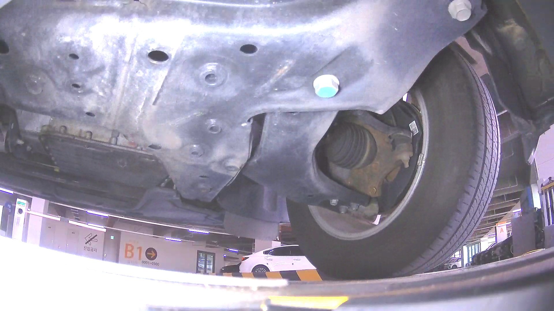 underbody