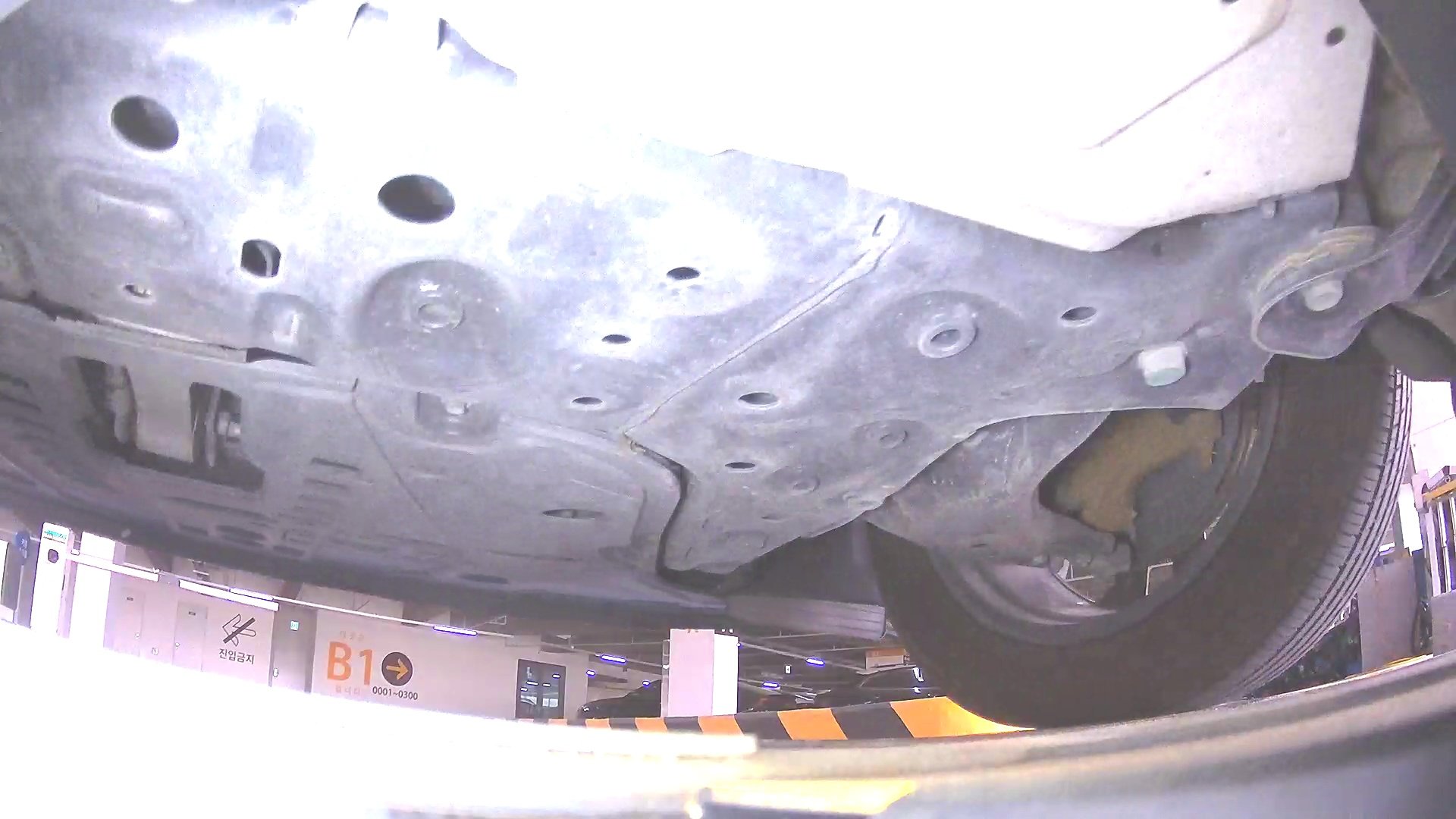 underbody