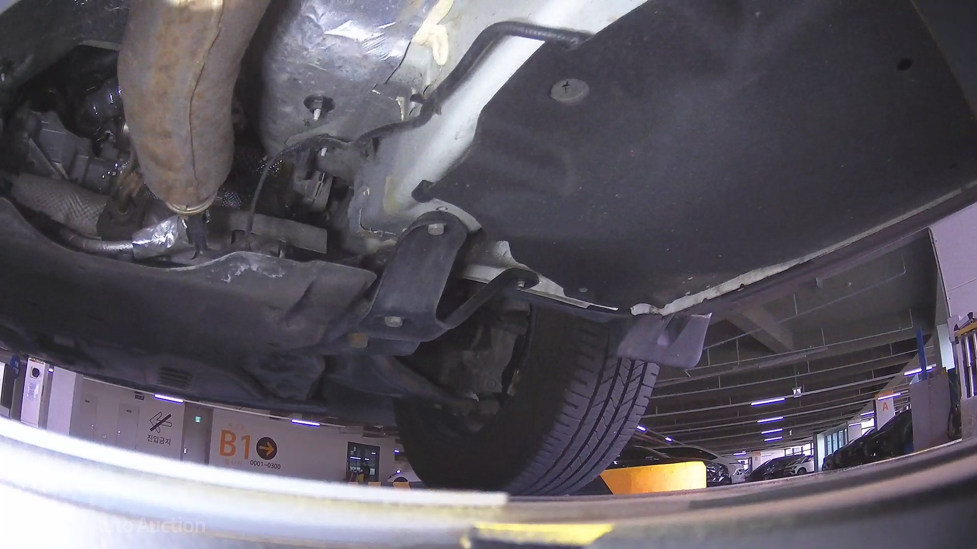 underbody