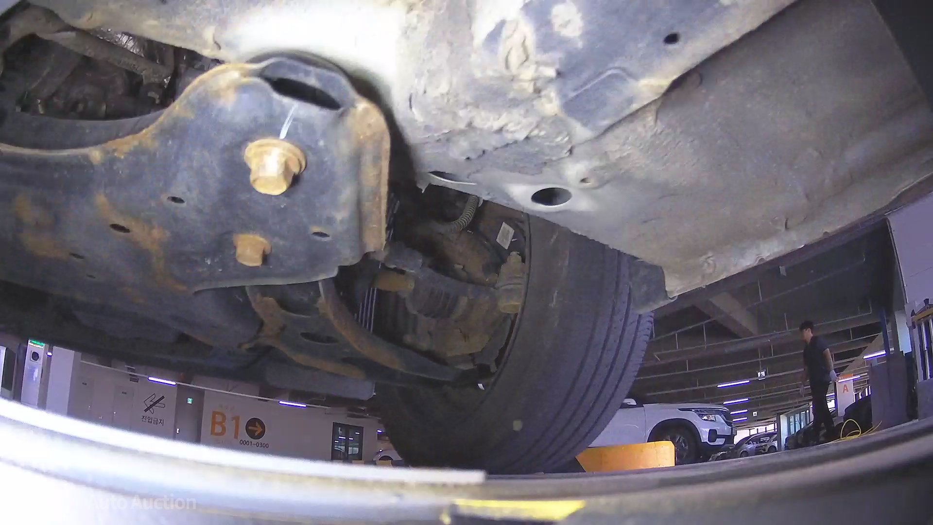 underbody