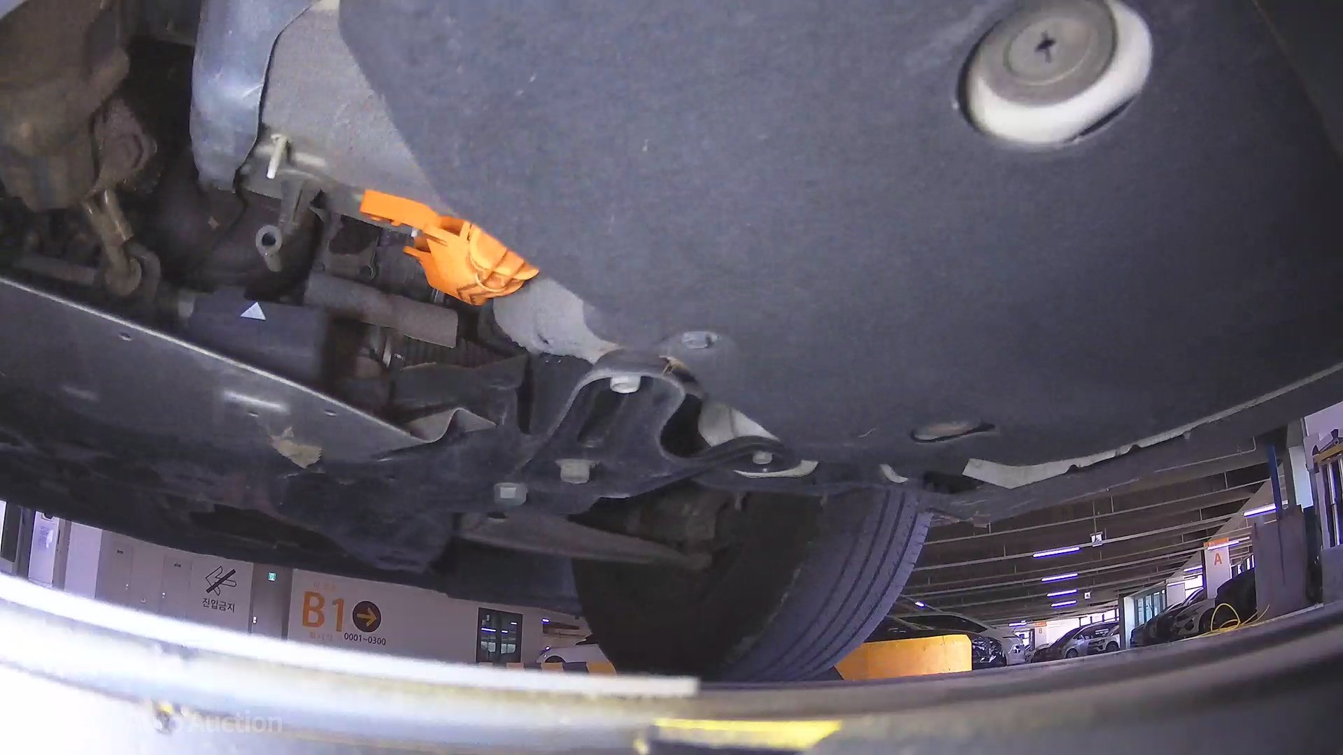 underbody